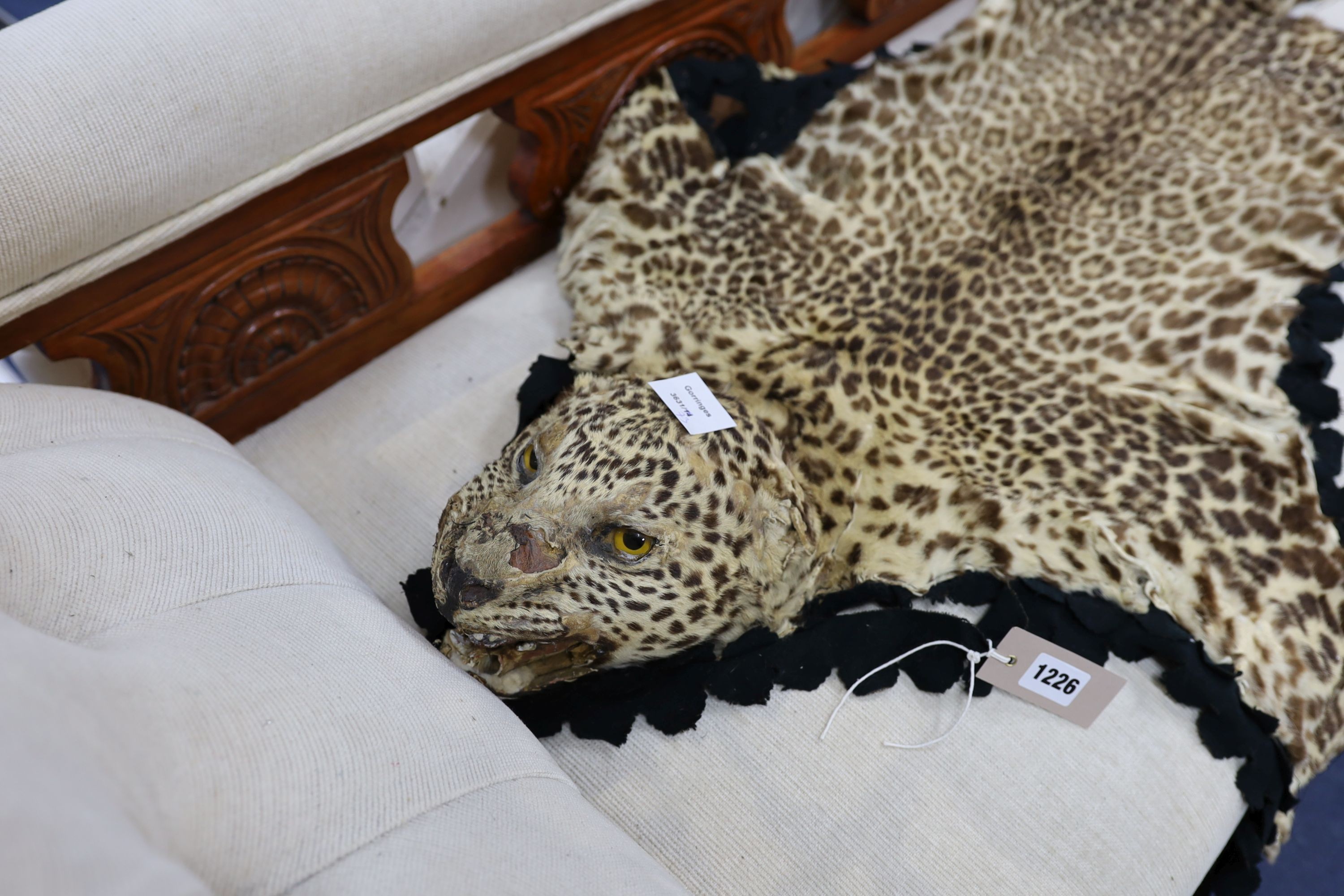 A taxidermy leopard skin rug, complete with head, nose to tail 160cm